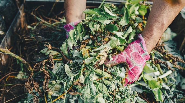 pair of hands gardening