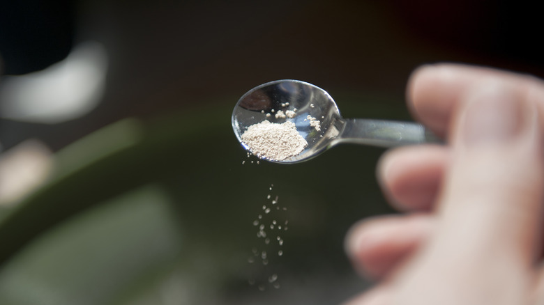 spoonful of yeast being sprinkled