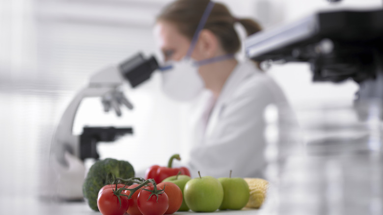 Person working in a lab with tomatoes