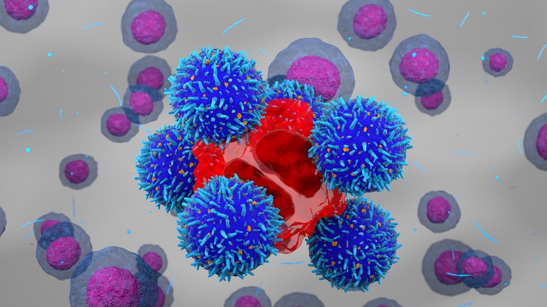 T-cell attacking cancer cell