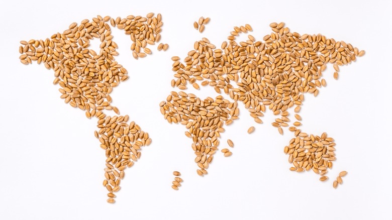 World map made from grains