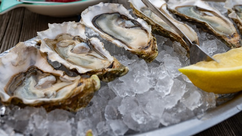 Oysters on the half shell