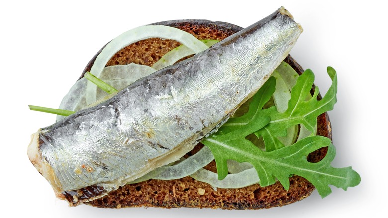 Sardine open-faced sandwich