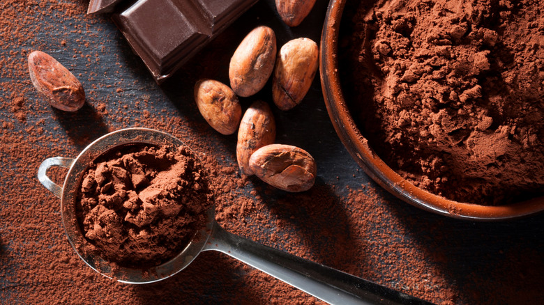 Aerial shot of chocolate, cocoa powder & beans