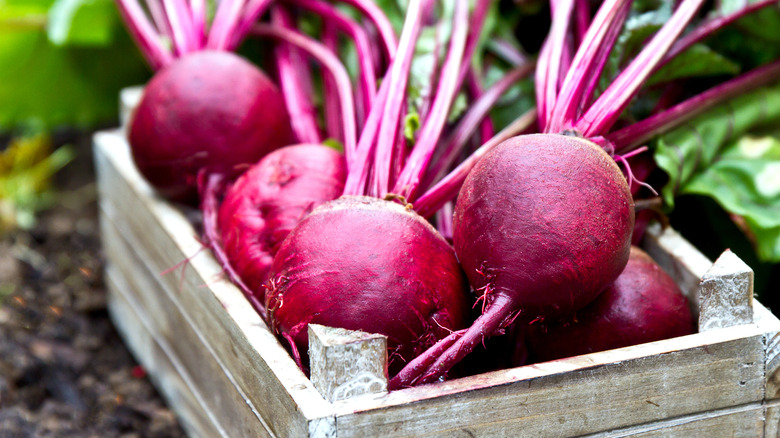 Beets in a crate