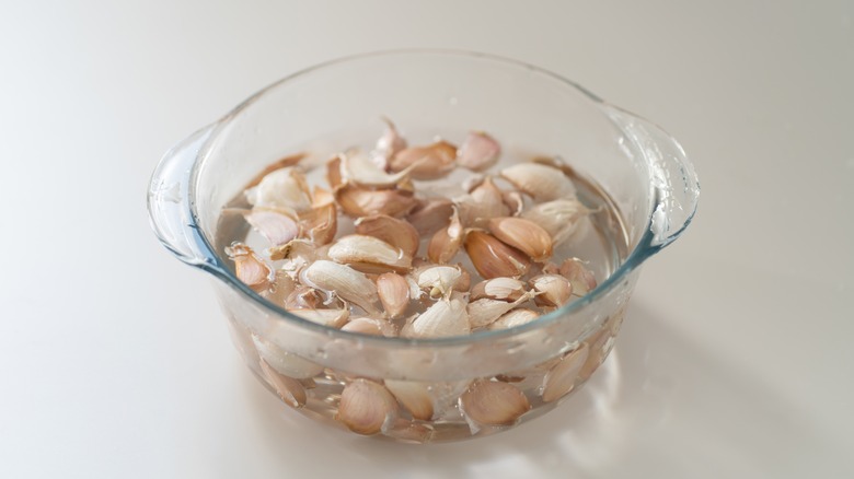 garlic in a water bowl