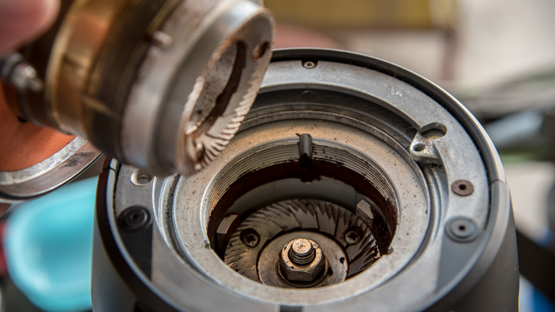 cleaning coffee grinder burrs