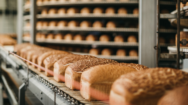 bread on conveyor belt