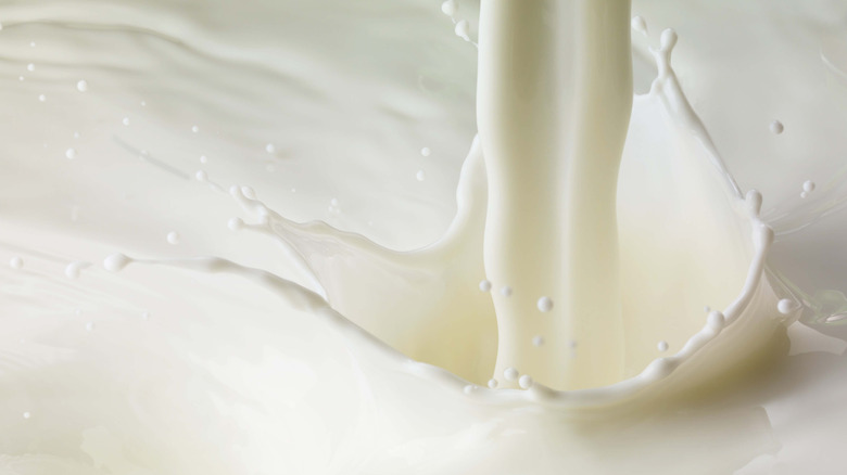 Closeup shot of a milk splash