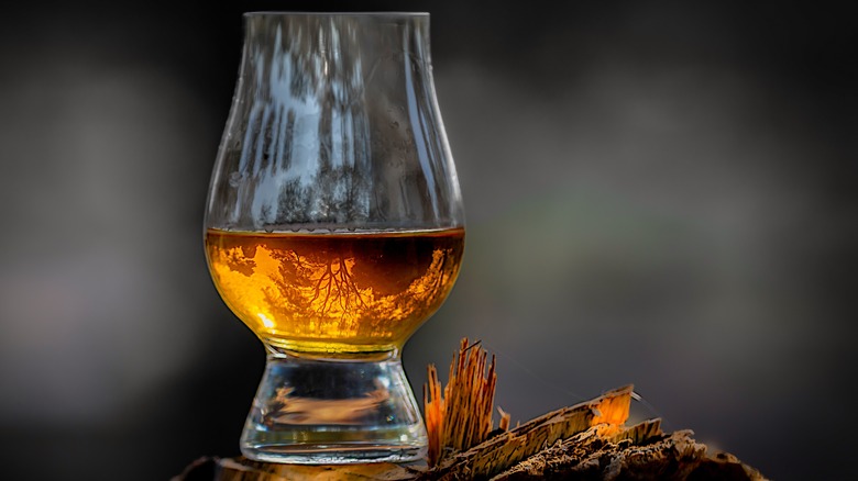 Glencairn whiskey glass with filled with scotch sitting on wood, with skyline reflecting in the glass