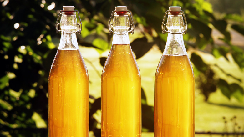 Three bottles of mead or honey syrup sitting outside in the sun with trees in the background