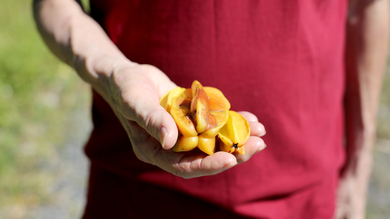 holding yellow starfruit