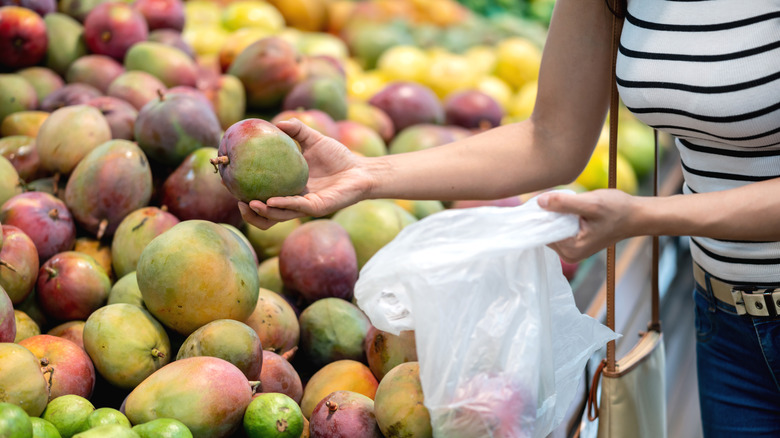 choosing colorful mangoes