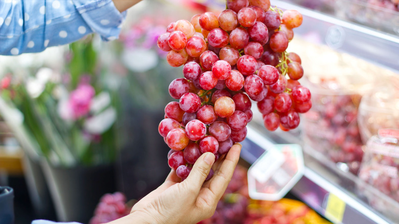 ripe red grapes