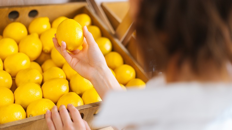 choosing yellow lemon