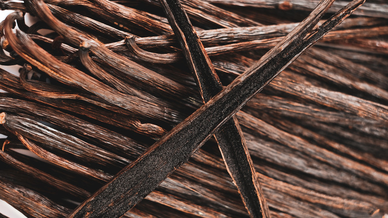 closeup of drying vanilla pods