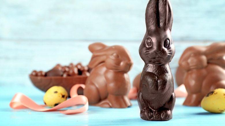 chocolate bunnies on teal background