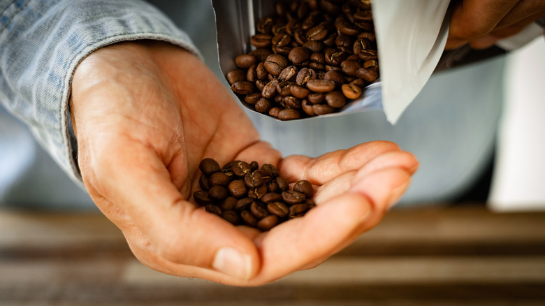 A person is holding roasted coffee beans in their hand.