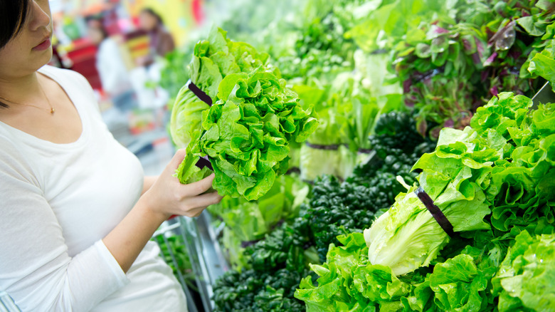 Person looking at lettuce