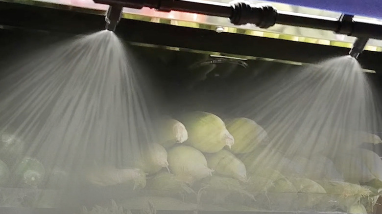 Misting system on vegetables