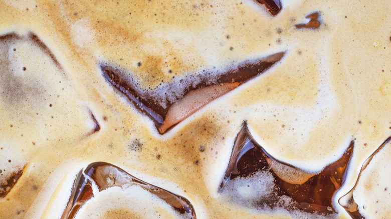 A closeup view shows ice floating in eggnog.