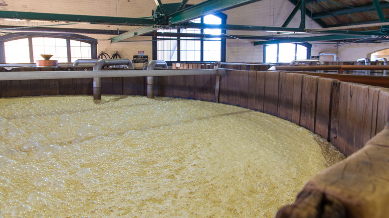 vat of bourbon mash