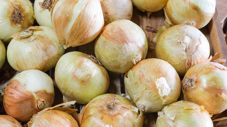 Sweet Vidalia onions  