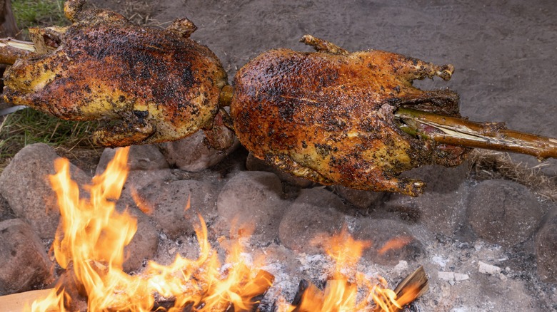 ducks roasting over campfire