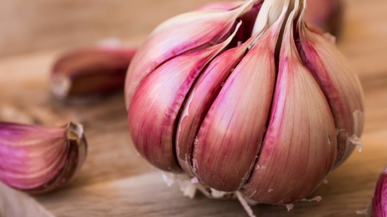 purple stripe garlic bulb