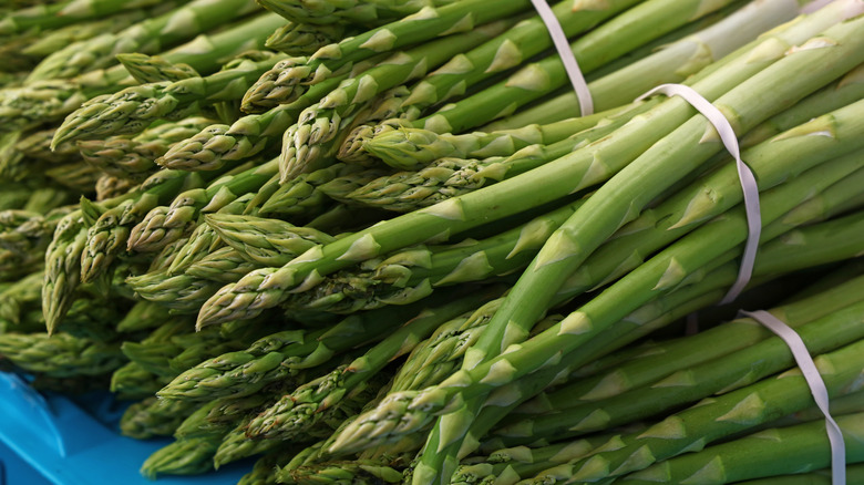 Asparagus bunches with rubber bands