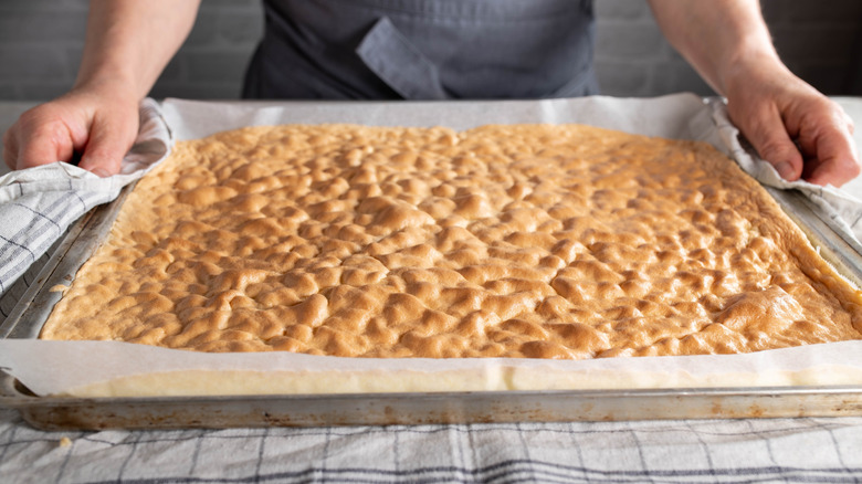 Hands holding sheet tray of baked sponge cake