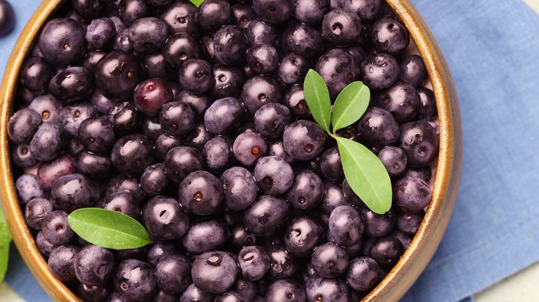 Fresh açai berries in wooden bowl