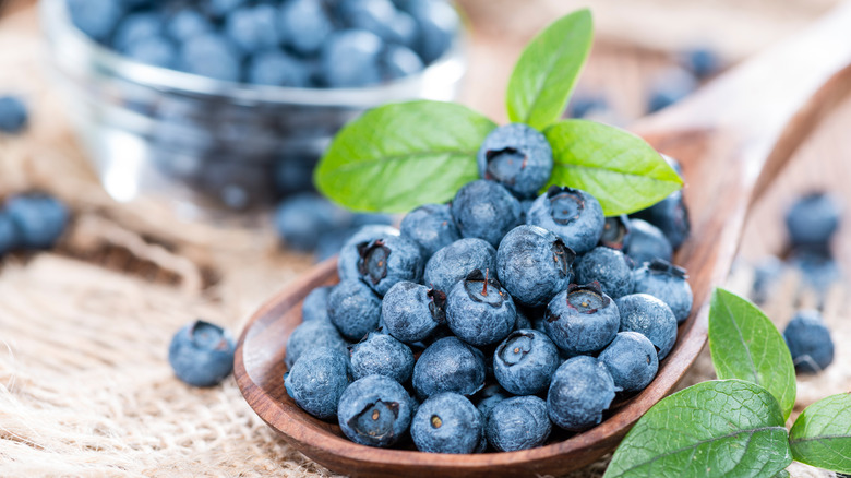 Fresh blueberries on a wooden spoon