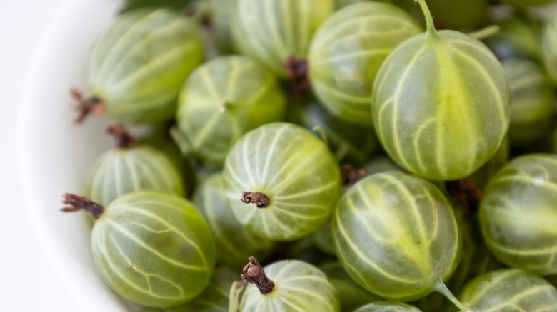 Close up of fresh gooseberries