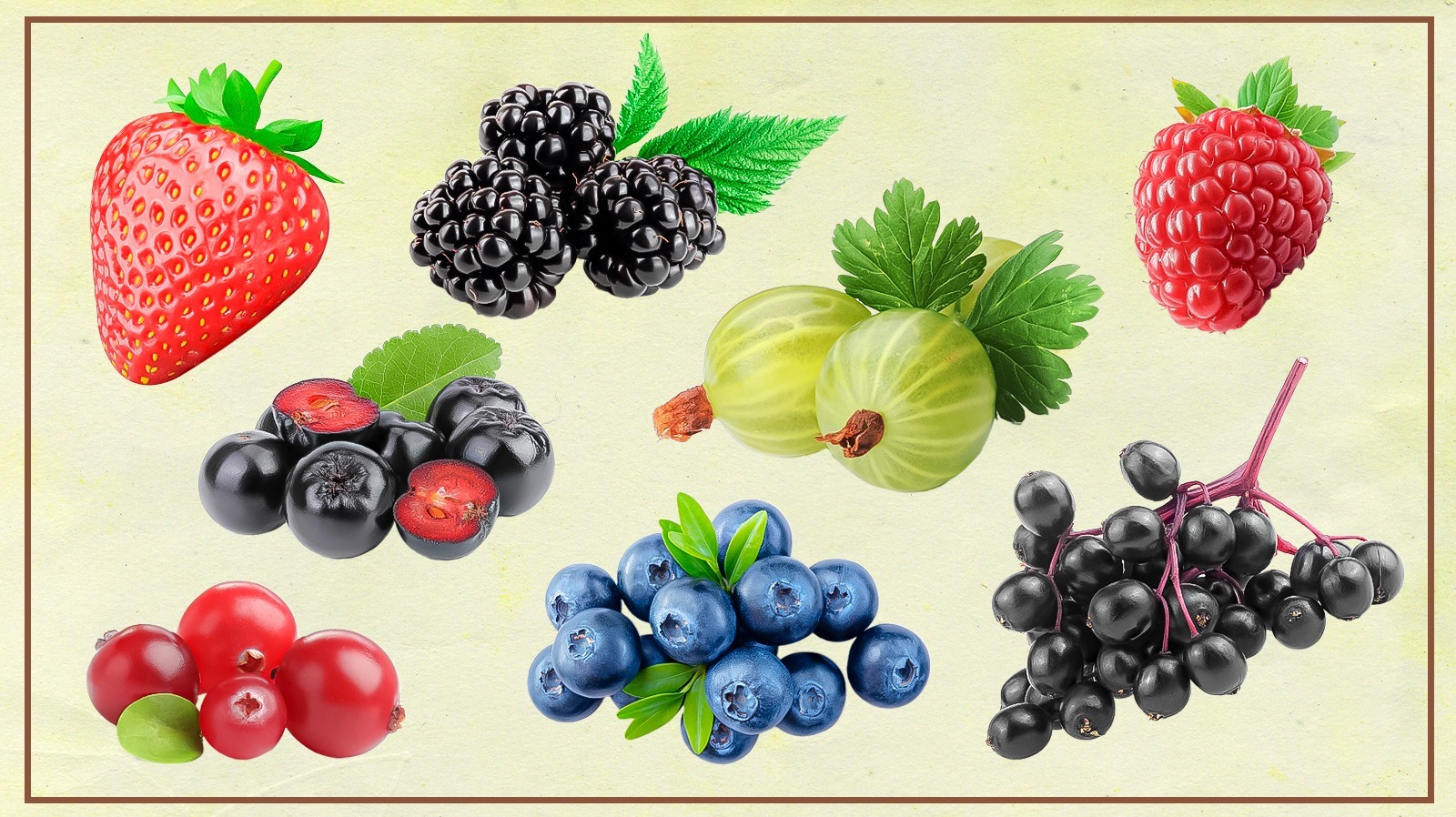 13 Types Of Berries, Explained