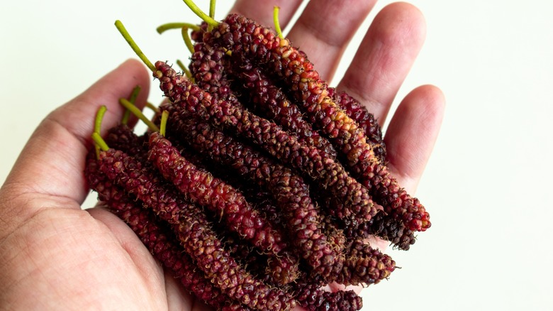 Person holding fresh mulberry in their hand