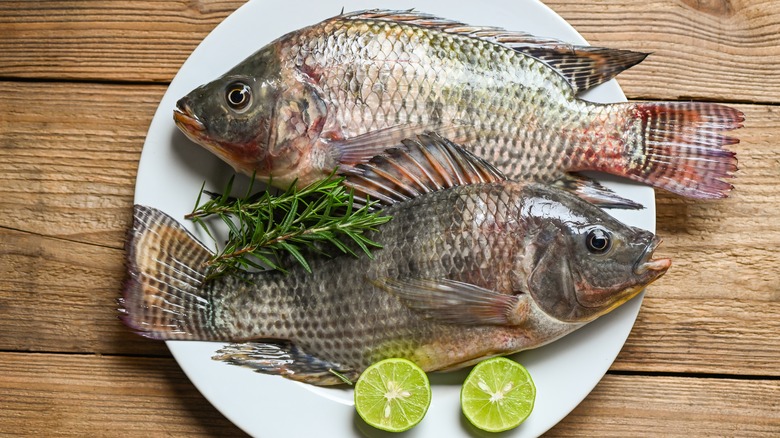 Whole tilapia on plate