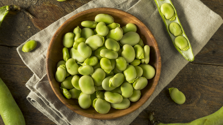 Bowl of fava beans