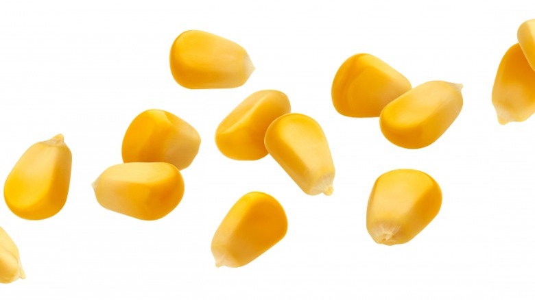 Yellow corn kernels