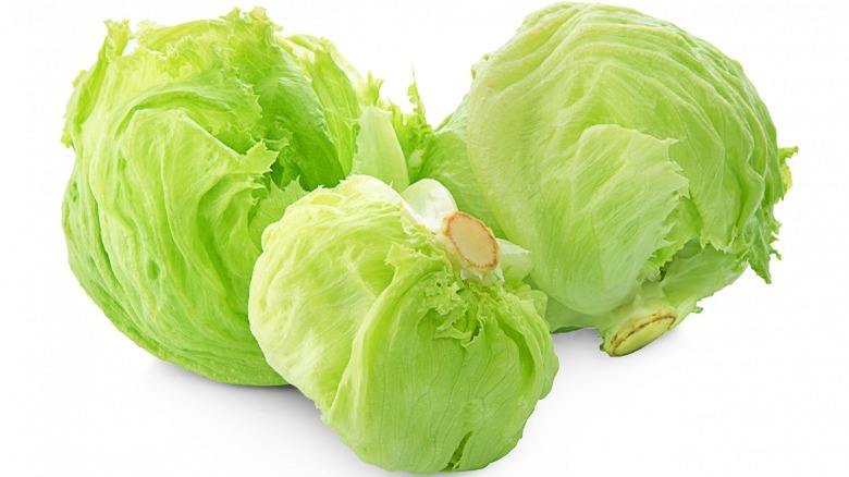 green iceberg lettuce heads