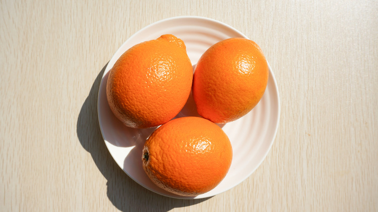 Three tangelos on a white plate