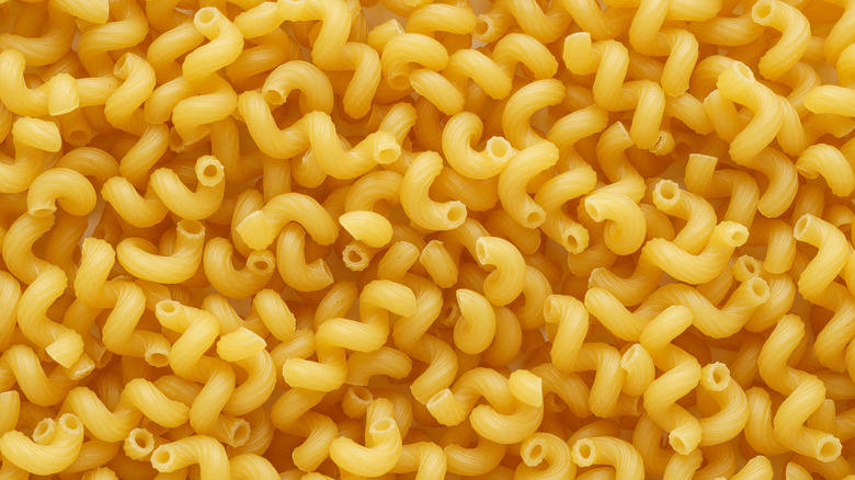 Uncooked closeup of cavatappi pasta 