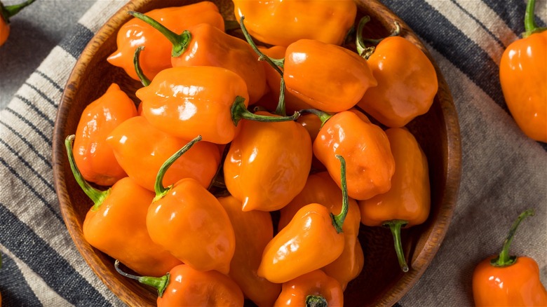 Bowl of habanero peppers