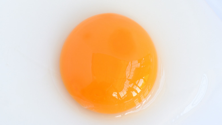 Egg yolk in dish