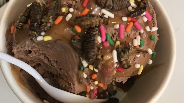 Bug ice cream in a bowl