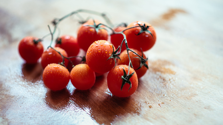 Cherry tomatoes on vine