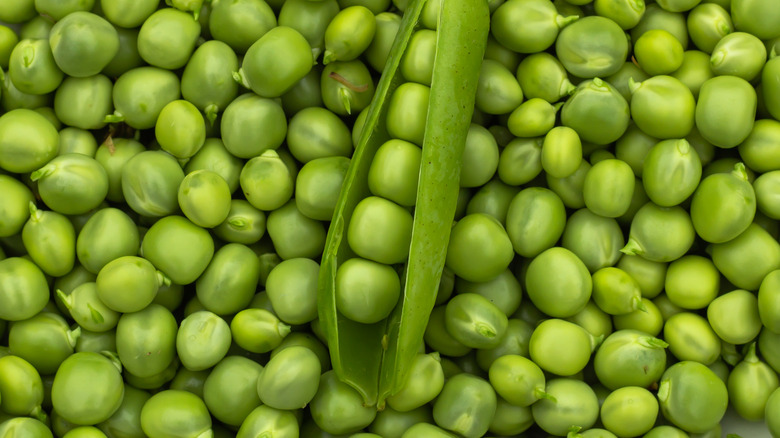 Fresh green sweet peas