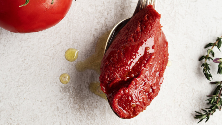 Fresh tomato paste on spoon