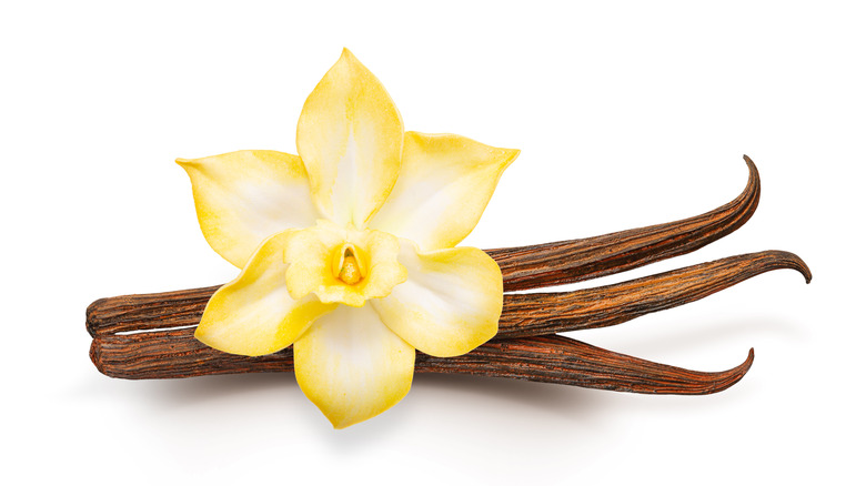 Vanilla bean with flower