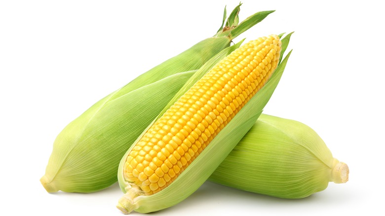 Three corn ears against white